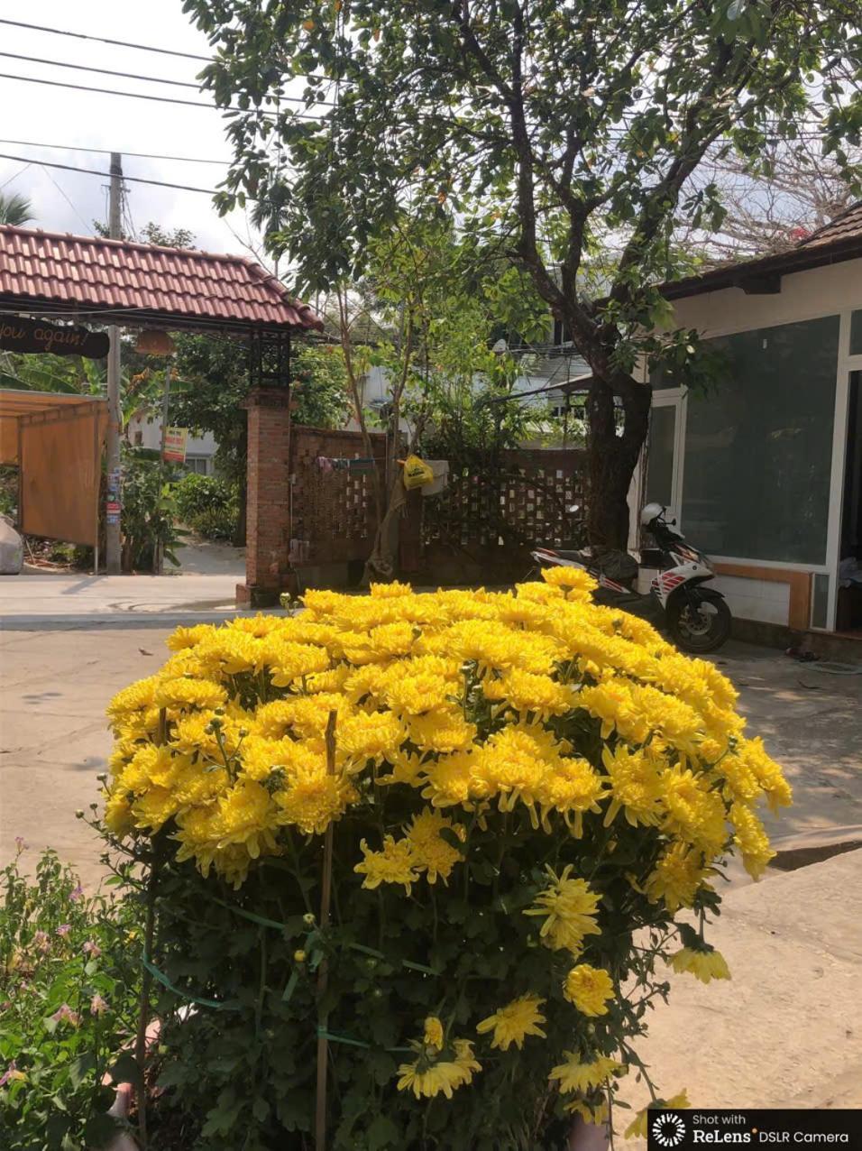 Hotel Gecko House Phu Quoc Exterior foto